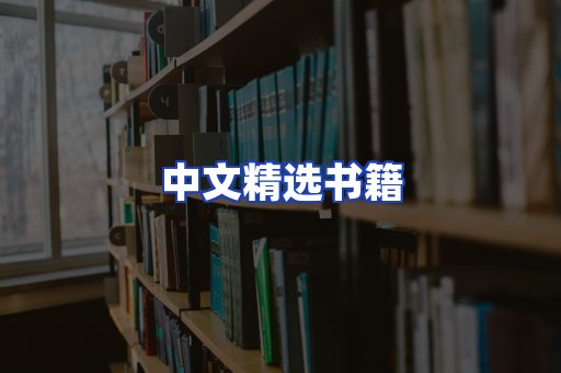 中文精选书籍