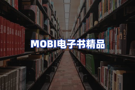 外文电子书产品